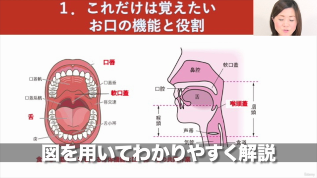 ママからわが子への贈り物 妊娠中からはじめられる こどもの未来が決まるお口育て講座 – Screenshot 1