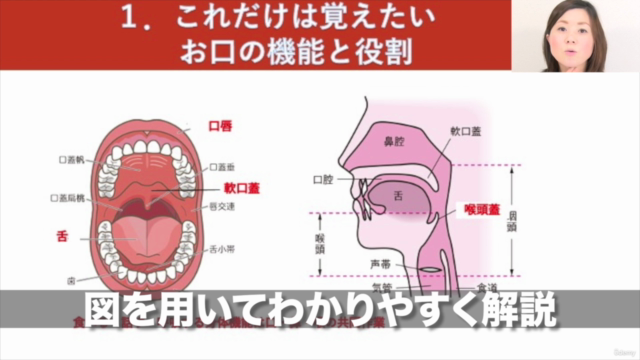 ママからわが子への贈り物 妊娠中からはじめられる こどもの未来が決まるお口育て講座 – Screenshot 2
