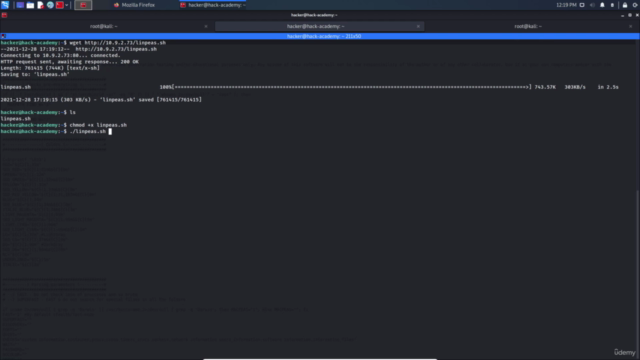 The Complete Linux Privilege Escalation Course – Screenshot 3