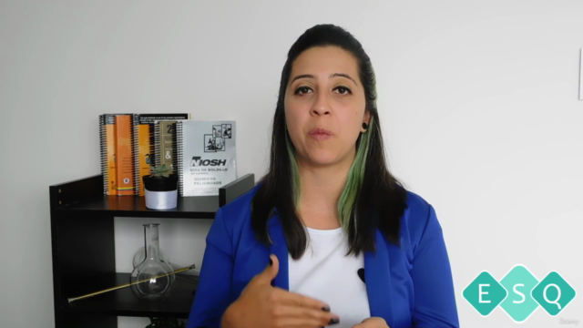 Etiquetas ajustadas al Sistema Globalmente Armonizado (SGA) – Screenshot 2