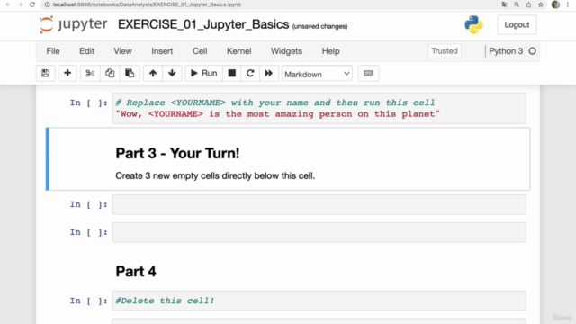 2025 Python Data Analysis & Visualization Masterclass – Screenshot 2
