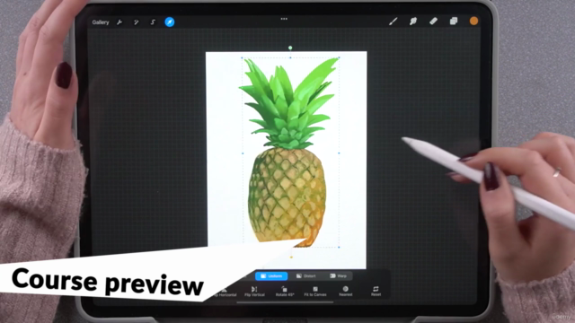 Procreate Masterclass: Digital Drawing on the iPad – Screenshot 3