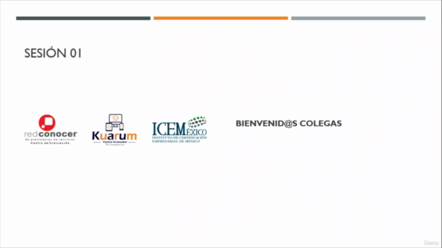 Proporcionar servicios de consultoría general EC0249 – Screenshot 2