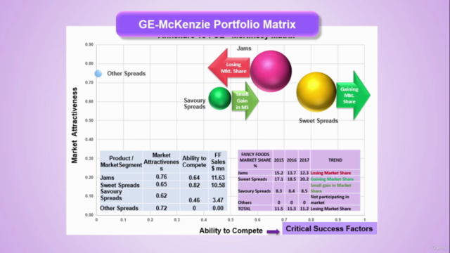 Business Performance Review and Strategy Audit - Screenshot_04