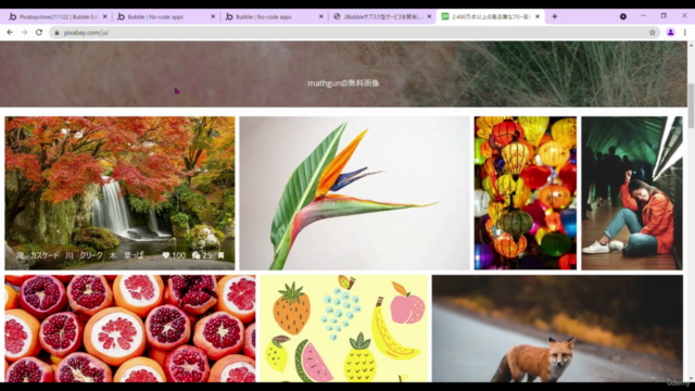 『Bubbleで画像共有プラットフォームを構築しよう』Pixabayのようなサービスを開発します。 – Screenshot 1