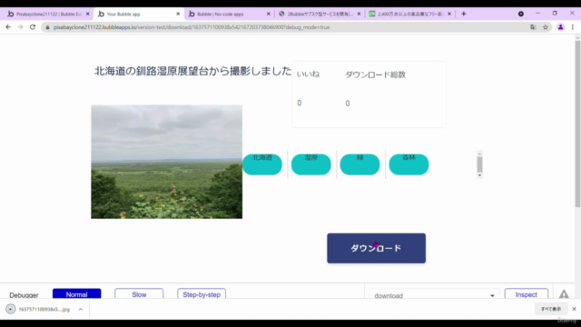 『Bubbleで画像共有プラットフォームを構築しよう』Pixabayのようなサービスを開発します。 – Screenshot 3