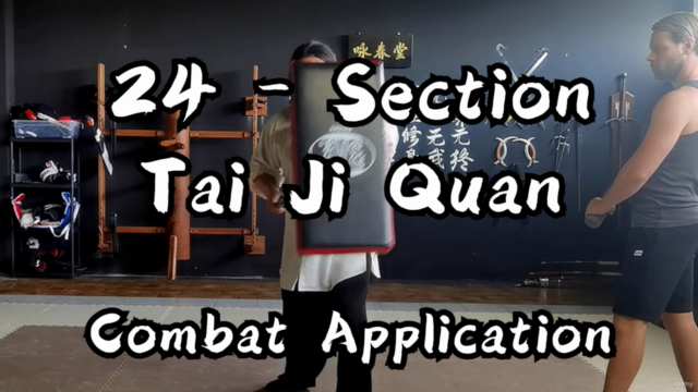 Tai Chi Combat Application based on Tai Chi 24 Form – Screenshot 2