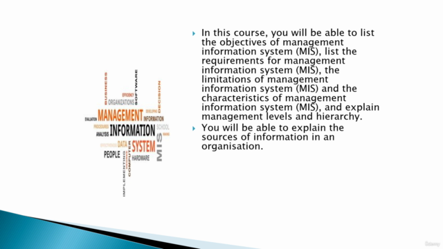 Management Information Systems (MIS) - Screenshot_02