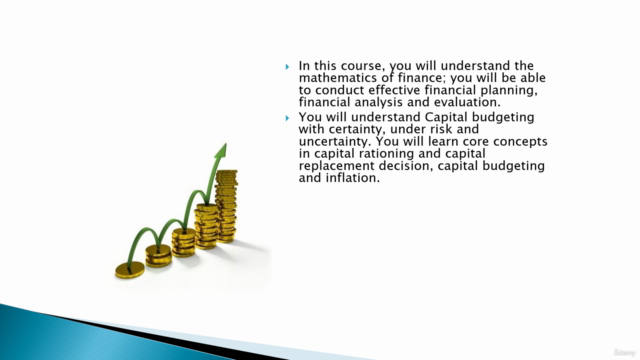 Financial Management for Business Leaders and Managers - Screenshot_02