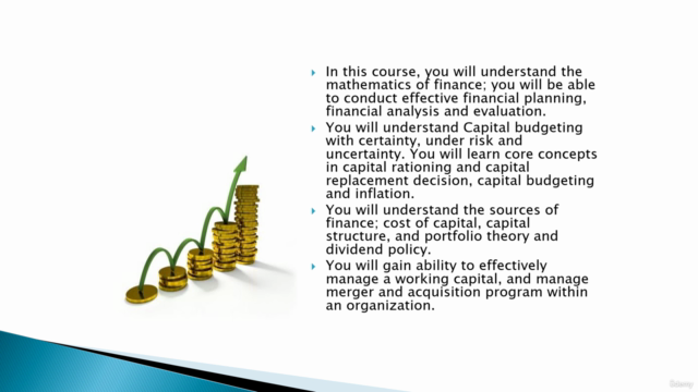 Financial Management for Business Leaders and Managers - Screenshot_03
