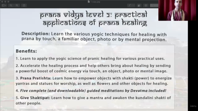 Prana Vidya Level 2: Practical Applications of Prana Healing – Screenshot 4