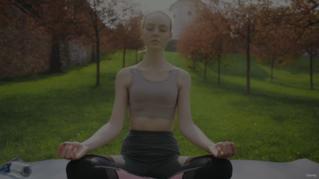 Chakra Shuddhi: Purify The Chakras With The Power Of Sound – Screenshot 4