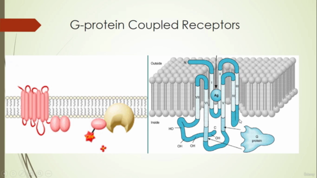 Introduction to Receptor – Screenshot 1