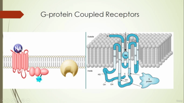 Introduction to Receptor – Screenshot 2