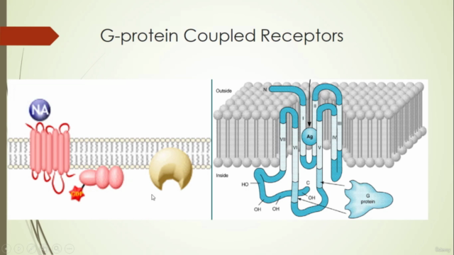 Introduction to Receptor – Screenshot 3