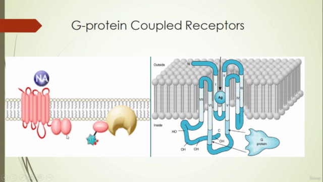 Introduction to Receptor – Screenshot 4