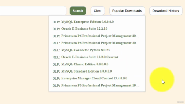 Mastering Primavera P6: A Comprehensive Tutorial – Screenshot 1