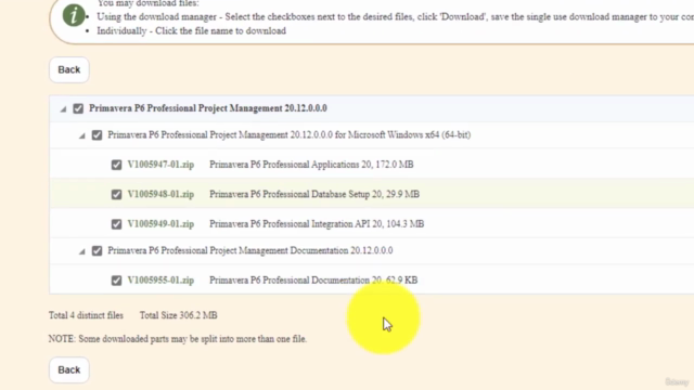 Mastering Primavera P6: A Comprehensive Tutorial – Screenshot 2
