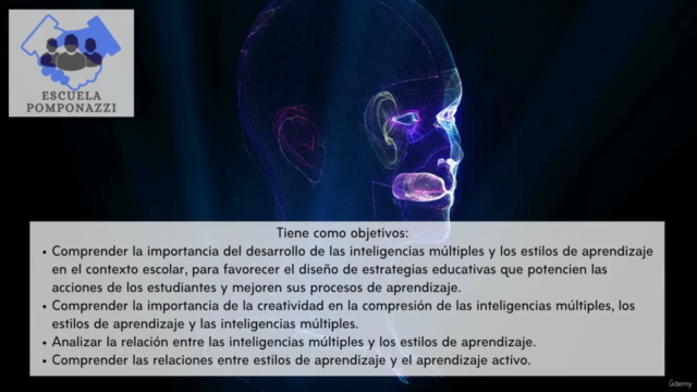 Múltiples Inteligencias y estilos de aprendizaje – Screenshot 1