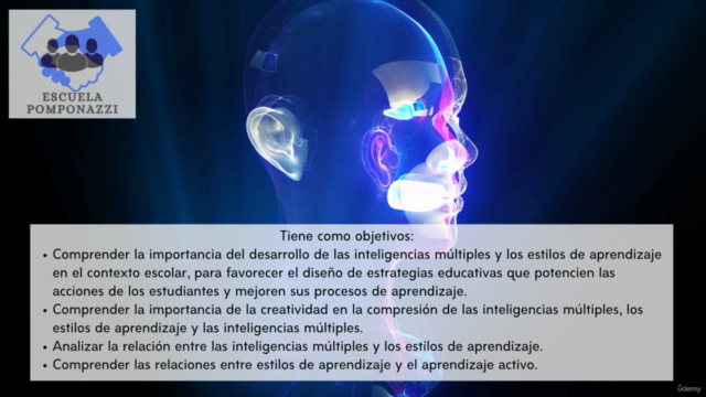 Múltiples Inteligencias y estilos de aprendizaje – Screenshot 2