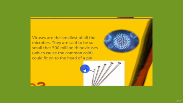 human virology for college students – Screenshot 3