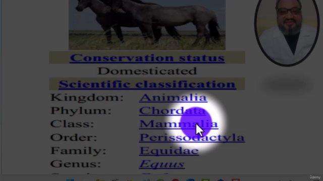 Horse care and Management – Screenshot 1