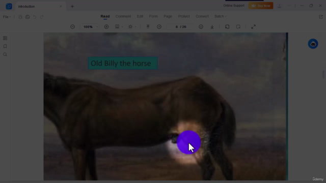 Horse care and Management – Screenshot 2