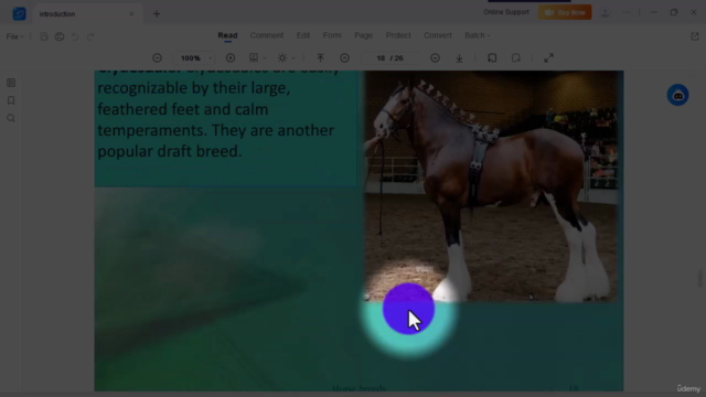 Horse care and Management – Screenshot 3