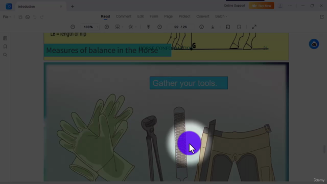 Horse care and Management – Screenshot 4