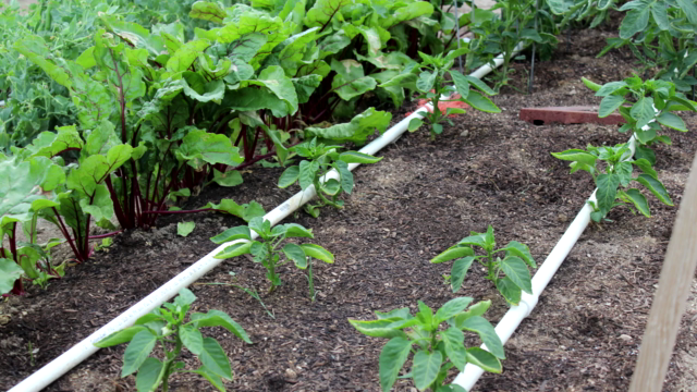 Build a PVC Drip Irrigation System for your Garden – Screenshot 2