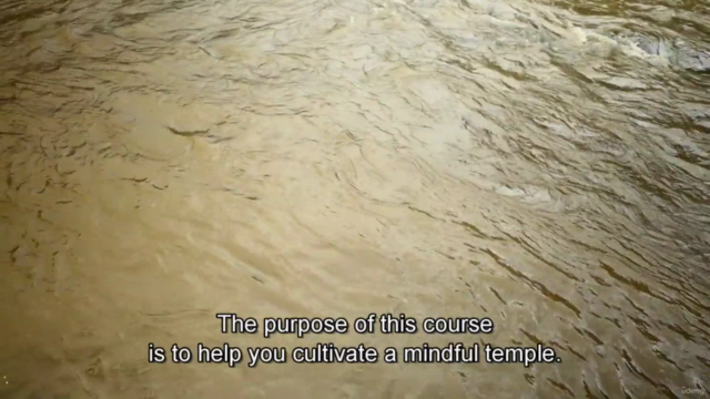 Mindfulness: Dealing with Anxiety and Depression – Screenshot 4