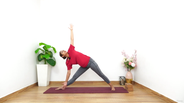 Prenatal Yoga: Have a Healthy Pregnancy (For all Trimesters) – Screenshot 3