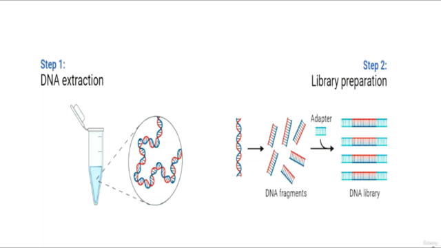 Bioinformatic; Learn Bulk RNA-Seq Data Analysis From Scratch – Screenshot 1