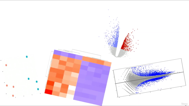 Bioinformatic; Learn Bulk RNA-Seq Data Analysis From Scratch – Screenshot 4