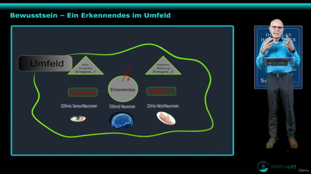 Das geistige Puzzle: Bewusstsein systematisch verstehen – Screenshot 1