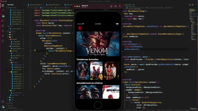 Flutter & Dart : Maitrisez les API REST avec Flutter et Dart – Screenshot 1