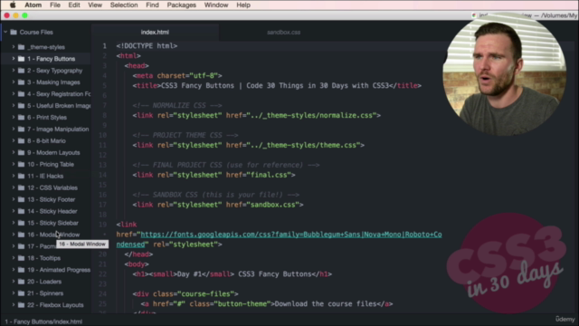 Become a CSS Master: Code 30 Projects in 30 Days – Screenshot 1