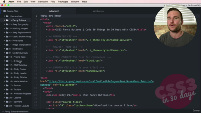 Become a CSS Master: Code 30 Projects in 30 Days – Screenshot 2