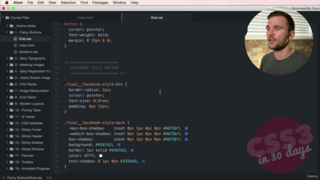 Become a CSS Master: Code 30 Projects in 30 Days – Screenshot 3