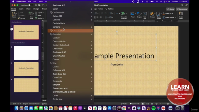 Learn PowerPoint Now: Microsoft PowerPoint 365 for Beginners - Screenshot_02