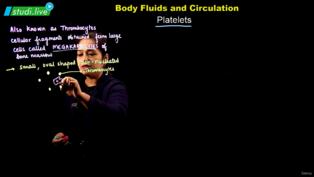 Biology : Body Fluid and Circulation – Screenshot 2