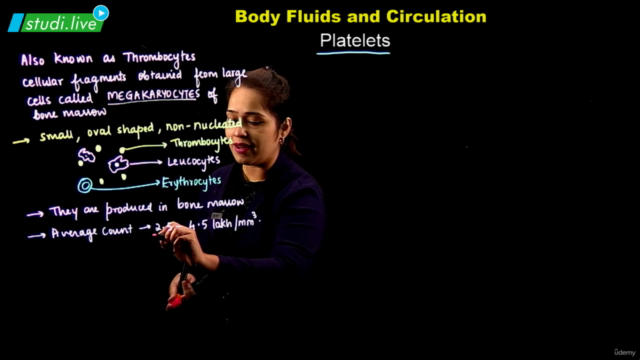 Biology : Body Fluid and Circulation – Screenshot 3