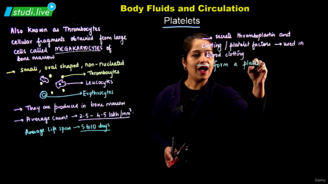 Biology : Body Fluid and Circulation – Screenshot 4