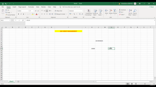 EXPLORE COMPLETE SAP CREDIT OR RISK MANAGEMENT – Screenshot 1