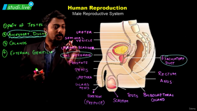 Biology : Human Reproduction – Screenshot 3