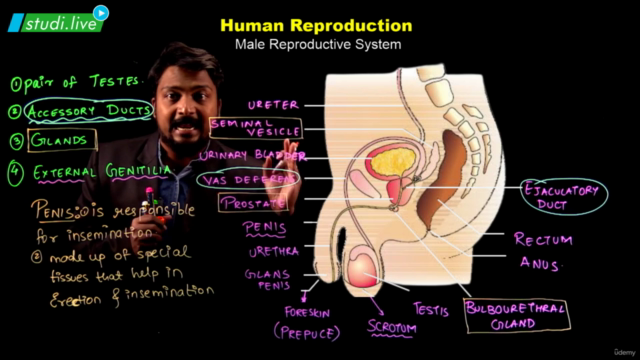 Biology : Human Reproduction – Screenshot 4