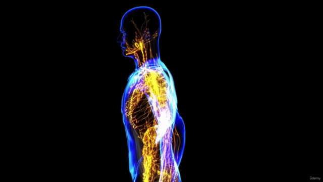 Complete Laser Lipo (non-Invasive) Training Course – Screenshot 3