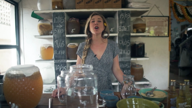 The Ultimate Guide to Brewing Kombucha – Screenshot 1
