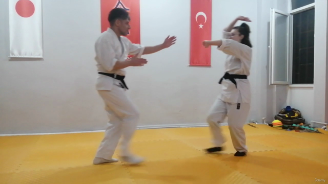 Learn Aikido from Scratch-Beginner /Başlangıç Seviye Aikido – Screenshot 1