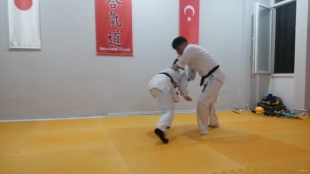Learn Aikido from Scratch-Beginner /Başlangıç Seviye Aikido – Screenshot 2